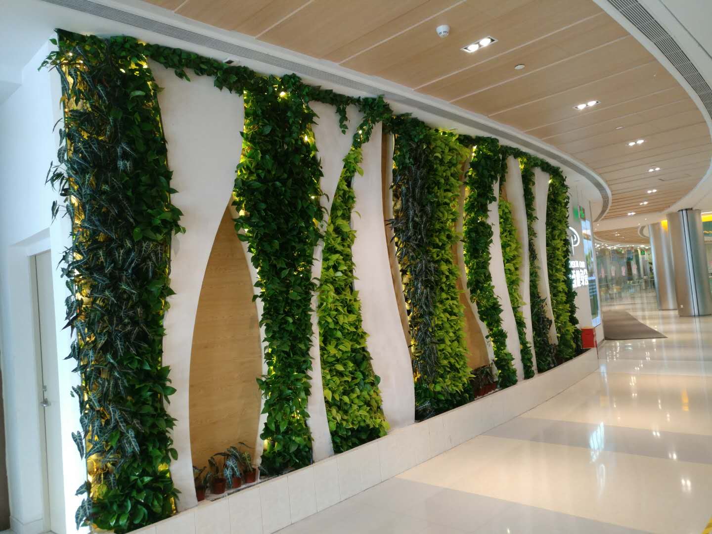 首批美丽广东生态文旅线路名单公布 湛江有1条线路榜上有名