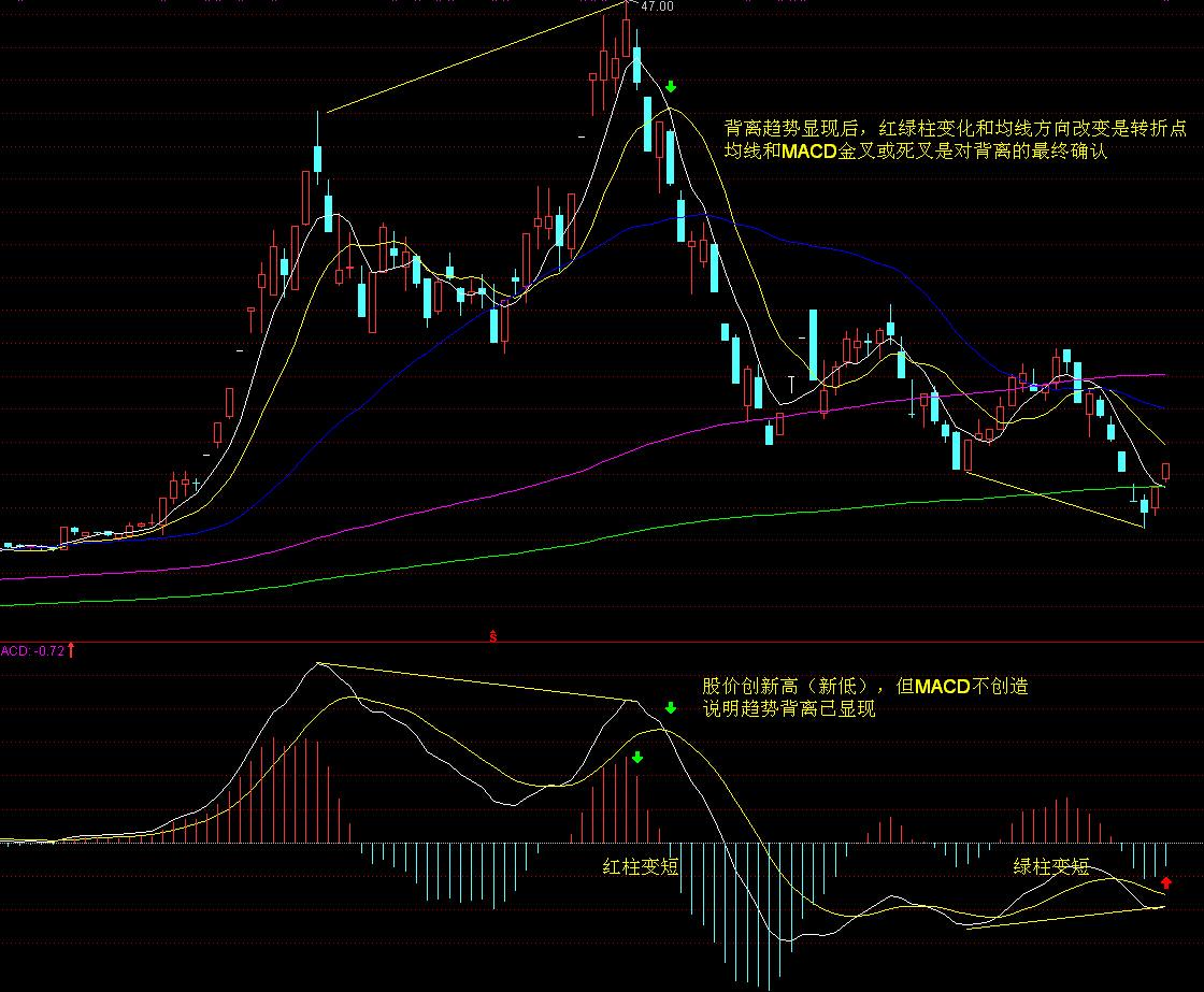 兴业银行合肥分行:暖心服务擦亮金融为民底色
